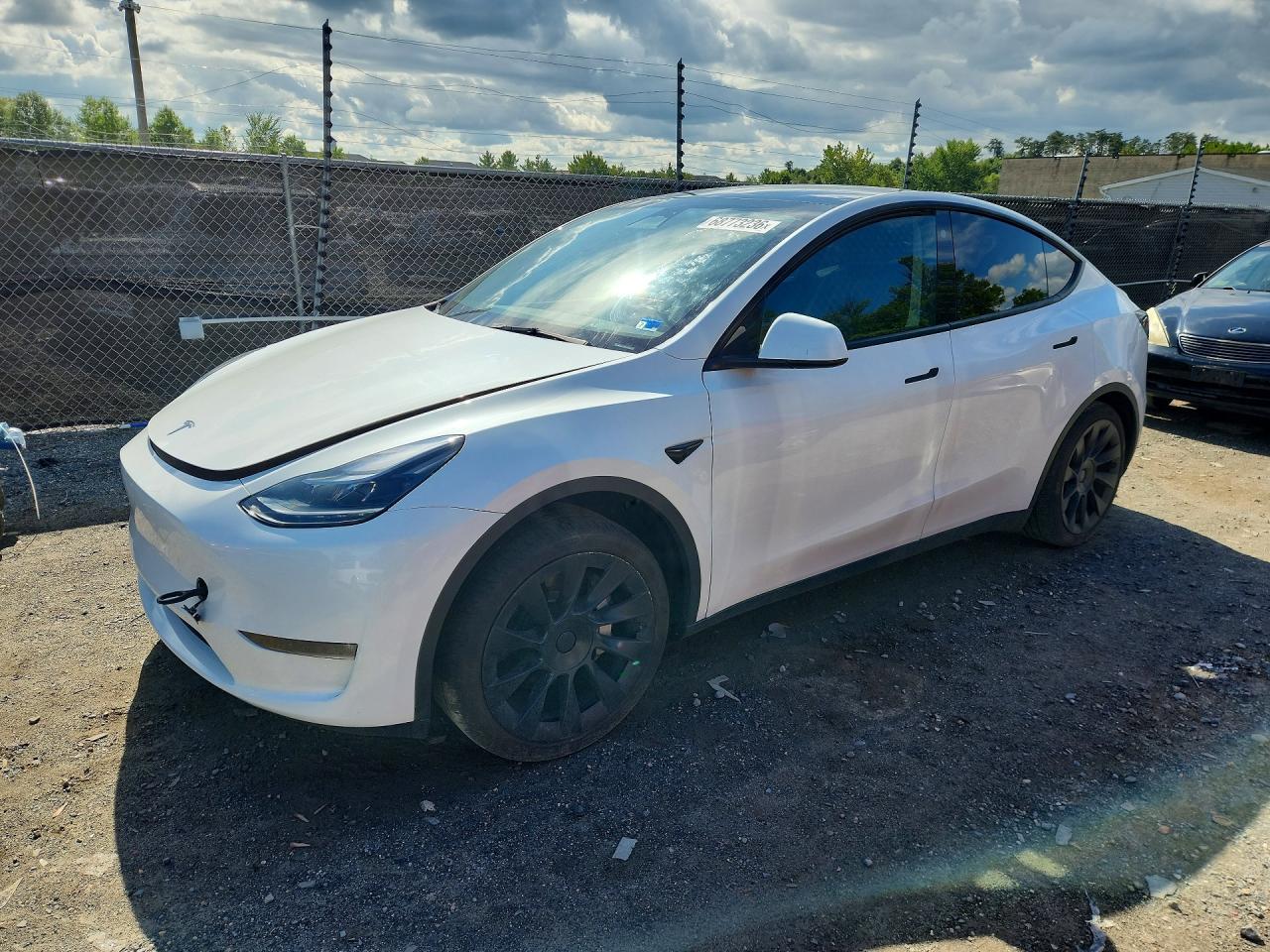 2023 TESLA MODEL Y 7SAYGDEE4PA101225